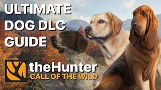 Ultimate All 3 Dog DLC Guide: Bloodhound, Retriever & Pointer | Hunter Call of the Wild