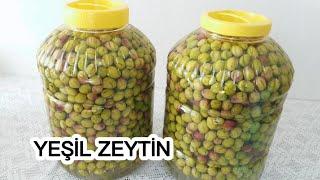 ÇİZİK YEŞİL ZEYTİN YAPIMI