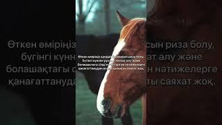 Қазақша Мотивация! Сенімсіздіктен арылыңыз! #shorts #қазақша #мотивация #дана #сенім #өмір #2022#рек