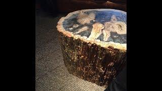 Petrified Wood Coffee Table