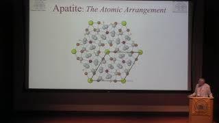 The geological and agricultural significance of calcium phosphate apatite