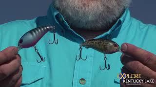 Different Types of Crankbaits (Part 1)