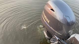 Yamaha 60 HP 4 Stroke Outboard Startup