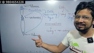 Microsatellites and minisatellites | Satellite DNA