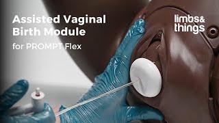 Assisted Vaginal Birth Module for Birthing Simulator PROMPT Flex