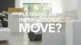 Best International Packers and Movers | Globe Moving