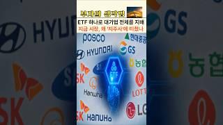 ETF 하나로 대기업 전체를 지배한다고? 왜 지금, 모두 지주사에 투자하나.