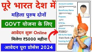 Government Scheme Online Apply 2024 || Online Apply Kaise Kare APY Scheme