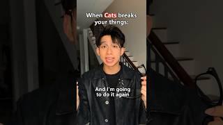 Cats: Because I can