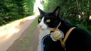 Mit Mr.Whiskers, die Probsteier Korntage 2024 besuchen - E-Bike Radtour Part #6/10