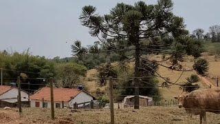 Explorando lindas fazendas em monte santo de minas