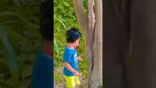 Bhoot wala ped#shotrs #bhoot #ytshorts #shortvideos #viralvideo