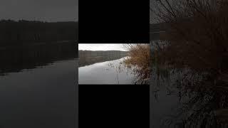 Зацеп, чуть не потерял воблера #рыбалка #fishing #рек #воблер #рекомендации #shorts #отдых