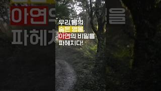 아연의효능#영양제추천 추천상품 '설명' 참조(화면길게누르기)