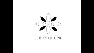 How to Design a Beautiful Flower Logo: A Complete Guide