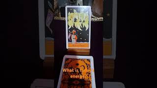 What is today's energy? 11/12/2024.                  #communication #spiritpower #grabhold