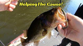 Fishing To Help Veterans! Another Way To Bring Positivity To The Outdoors!