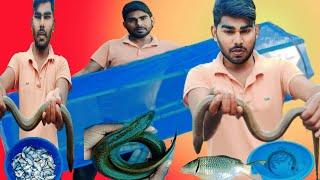 मछली पकड़ने का जाल कैसे बनाए। How to make net fishing trap. Fish trap.मछली जाल।