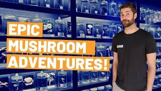 Cordyceps, Shiitake and Shaggy Mane!! - Exploring (MORE) Exotic Mushroom Farms