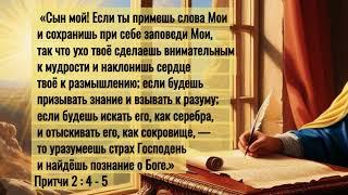 Сокровище мудрости