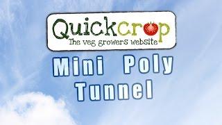 Mini Polytunnels For Vegetable Gardening