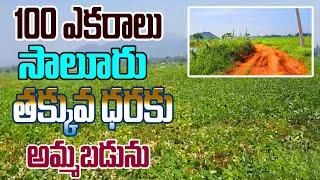 100 Acre Land For Sale | Low Price Land | Property for Sale in Salur | Real Estate Lands At Salur