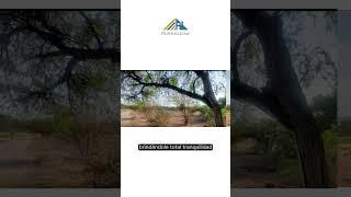 TERRENO EN VENTA DE 2,904.81 m² EN HACIENDA GRANDE TEQUISQUIAPAN