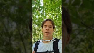 Иммиграционные программы Европы