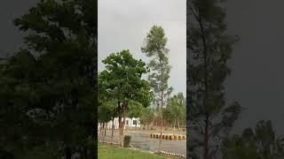 Enjoying weather ️ #travel #familyvlog #vlog #viralvideo #shortvideo #shorts