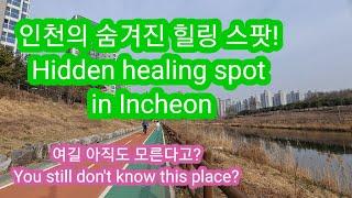 인천 청라 심곡천 산책 - Walking in Simgokcheon River, Cheongna, Incheon