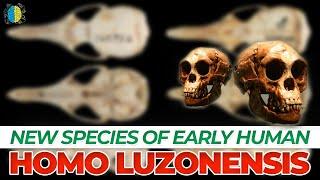 New Species Found in the Philippines | Homo Luzonensis