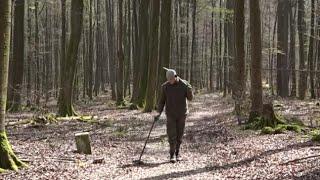 Metal Detecting Germany Nr.105 The Ancient Trading Road