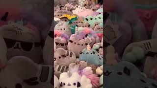 One of my favorite videos ️#pusheen #plush #plushies #kawaii #cute #cat #cats #collection