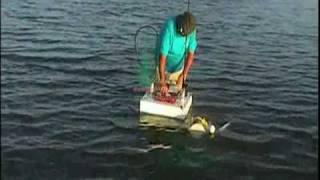 Ultimate Wade Fishing Caddy!
