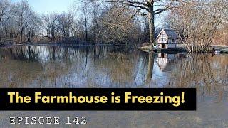 Ep 142 | Gentle Stroll Into The Woods | Freezing Temperatures | French Farmhouse Life