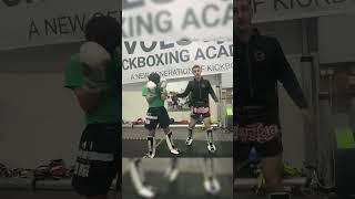 Both vids broken down | No 386