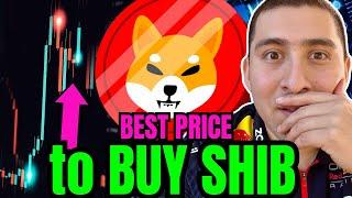 MAJOR SHIBA INU COIN PRICE PREDICTION!