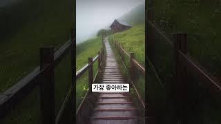 빗소리