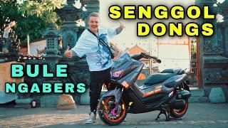 REVIEW NMAX BULE KW PALING HEDON DI BALI ! SENGGOL DONG | JIK WAH CHANNEL