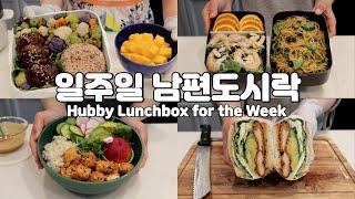 일주일 남편 도시락 브이로그 엄마 마음에 뒤지지 않는 아내의 마음으로 만드는 남편도시락 요리️ 간단하고 맛있는 건강식 집밥, 점심 도시락 메뉴 만들기, 미국 도시락 브이로그