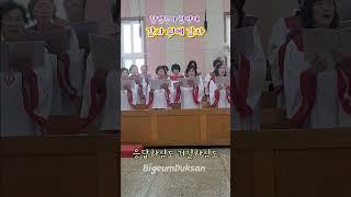 #감사 #감사위에감사 #민호기 #성가대 #찬양 #시골교회 #섬  #비금도 #비금덕산교회 #은혜 #할렐루야찬양대 #주일예배