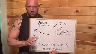 Oxidative stress and nrf2 activation