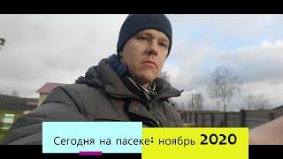 Сегодня на пасеке ноябрь 2020