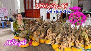 Phôi giấy Mỹ đế sạch đẹp giao lưu giá tốt miễn phí ..11/11 0772119600.Quỳnh-Như