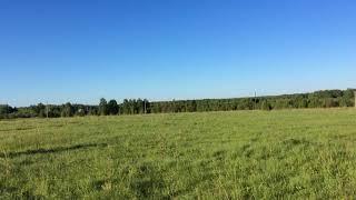 IMG 0291