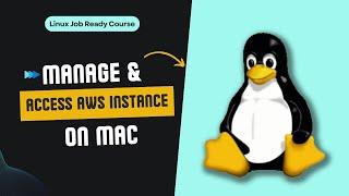 Manage & Access Your New AWS Instance on Mac: Step-by-Step Guide | Linux Job Ready Course |Decrypt3r