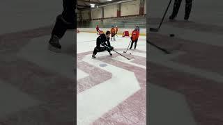 Hockey Training: Stickhandling