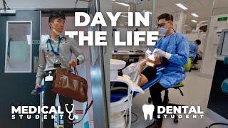 Day in the Life of a Medical Student vs Dental Student