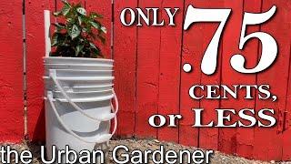 SELF-WATERING containers | ONLY .75 cents or LESS!