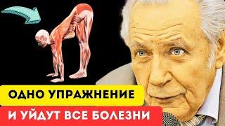 ЭТО НАДО ЗНАТЬ! ЕСЛИ хотите ЖИТЬ дольше, тогда делайте это. НАКЛОНЫ КАЖДЫЙ ДЕНЬ.